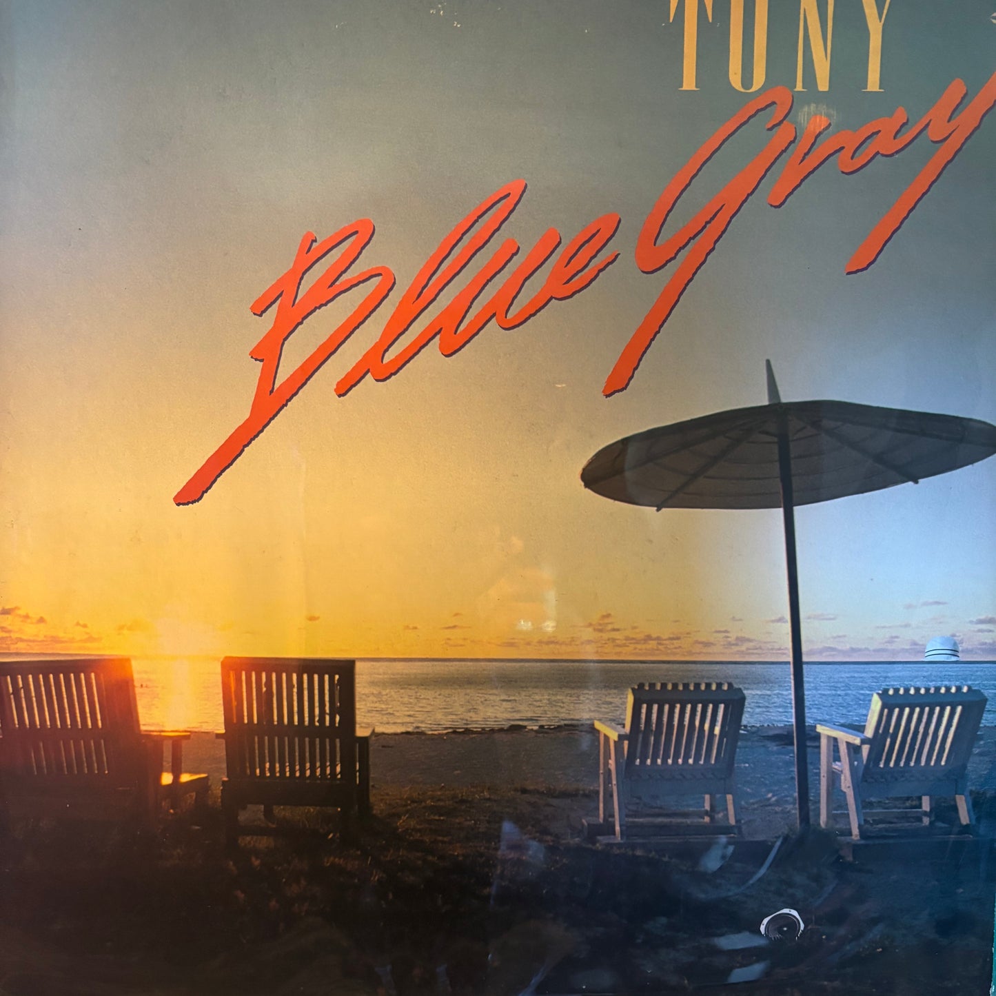 TONY - BLUE GRAY(WHITE LABEL PROMO)