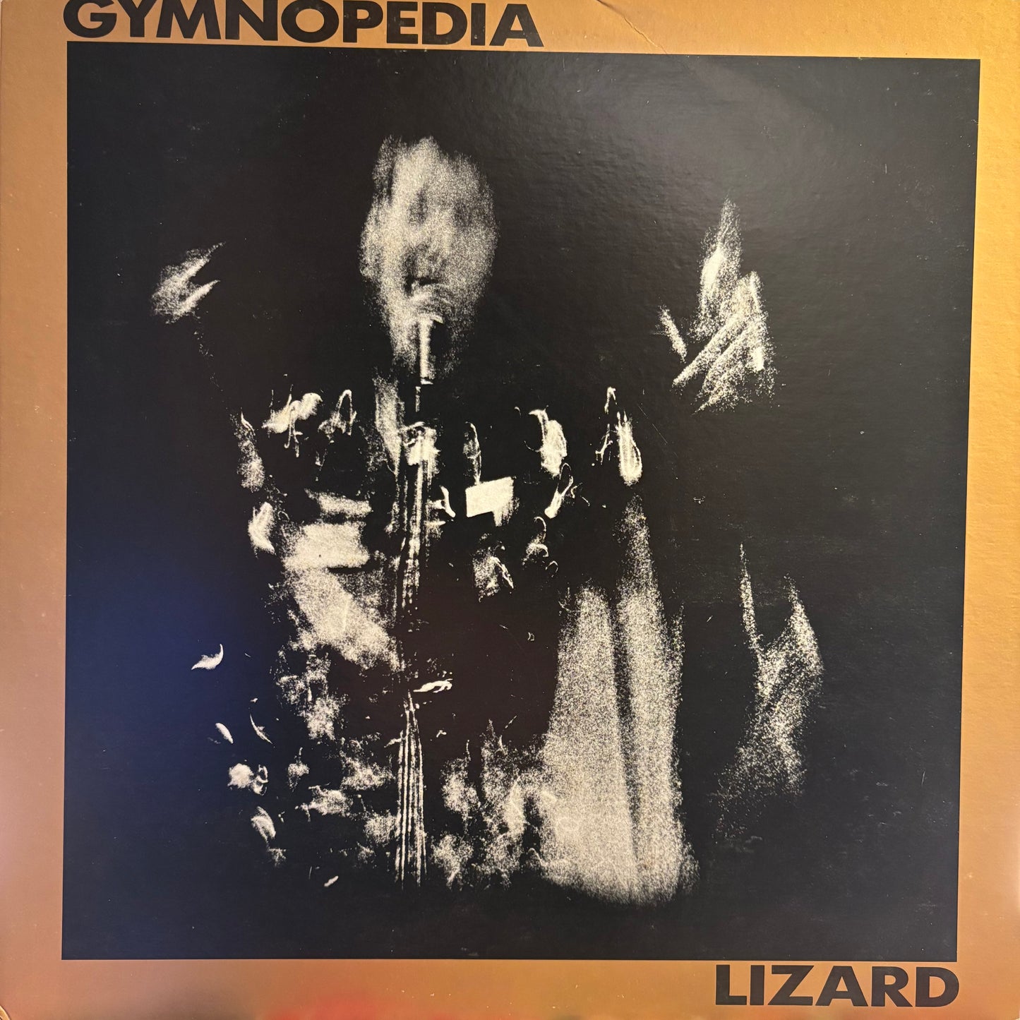 LIZARD - GYMNOPEDIA