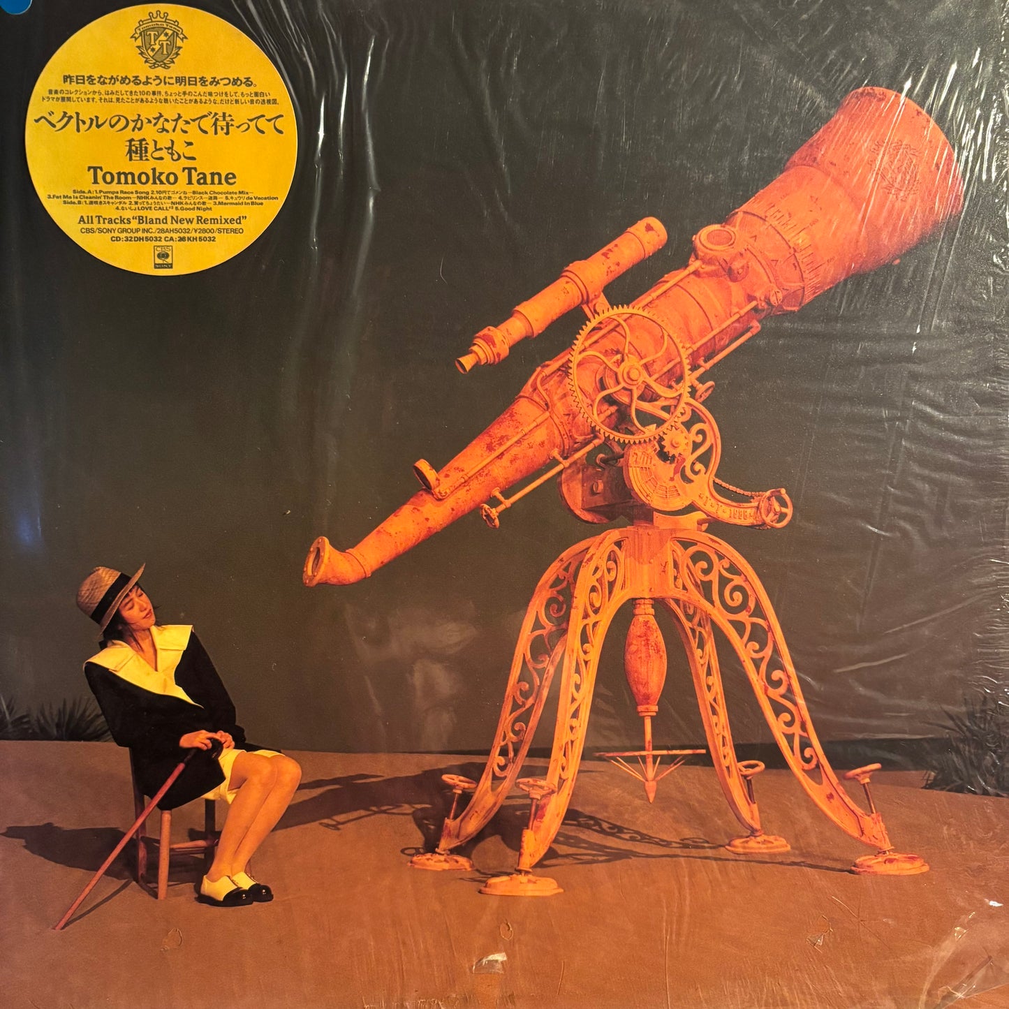 TOMOKO TANE - VECTOR