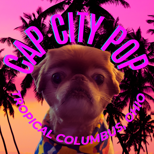 Our dog Arrow, a Japanese chin against a background of palm trees in the sunset. Cap City Pop, Tropical Columbus, Ohio is written in pink around his face in a circle. 