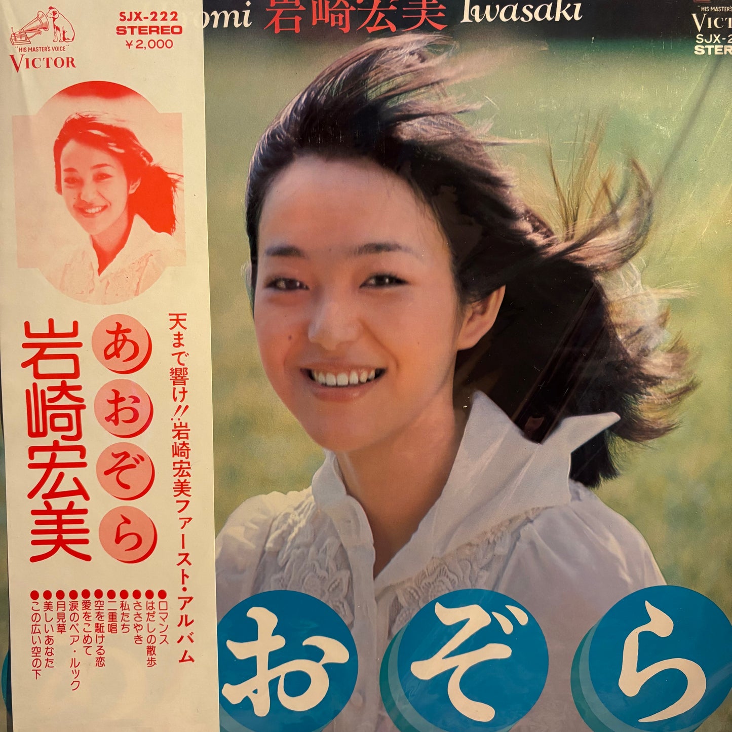 Hiromi Iwasaki - Aozora LP