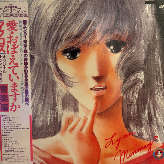 MACROSS SDF: DO YOU REMEMBER LOVE?