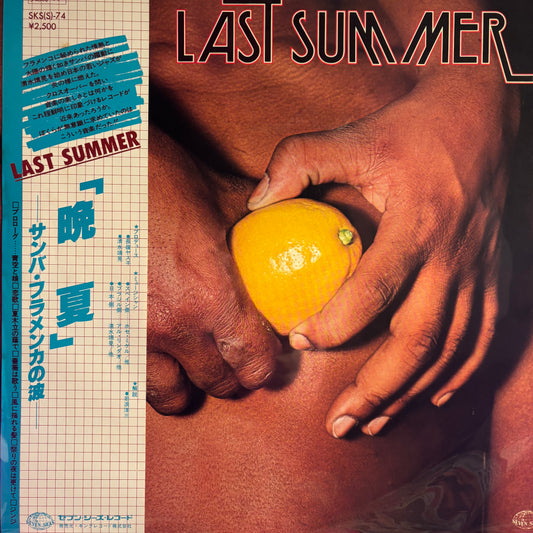 YASUAKI SHIMIZU & YASUKO NAGAMINE - LAST SUMMER