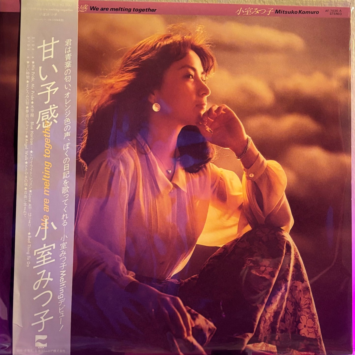 MITSUKO KOMURO - WE ARE MELTING TOGETHER